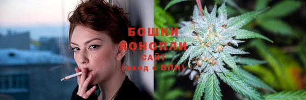 PSILOCYBIN Приозерск