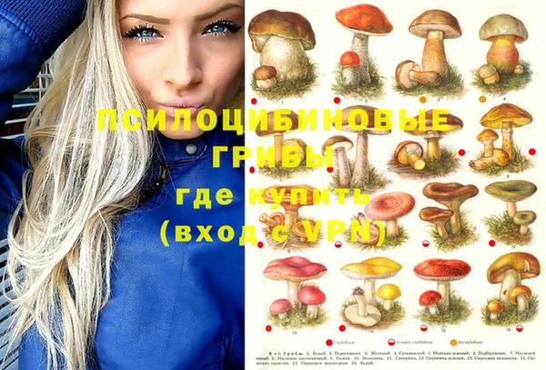 первитин Протвино