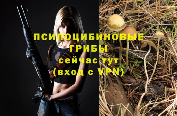PSILOCYBIN Приозерск