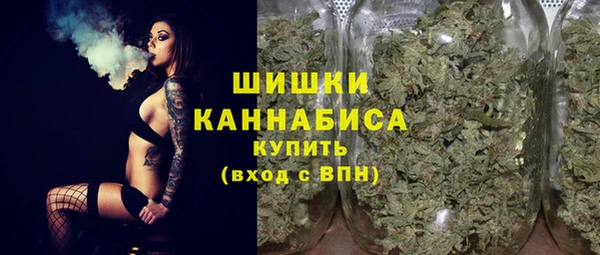 PSILOCYBIN Приозерск