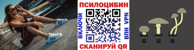 Галлюциногенные грибы MAGIC MUSHROOMS  Купить закладки  Серов 